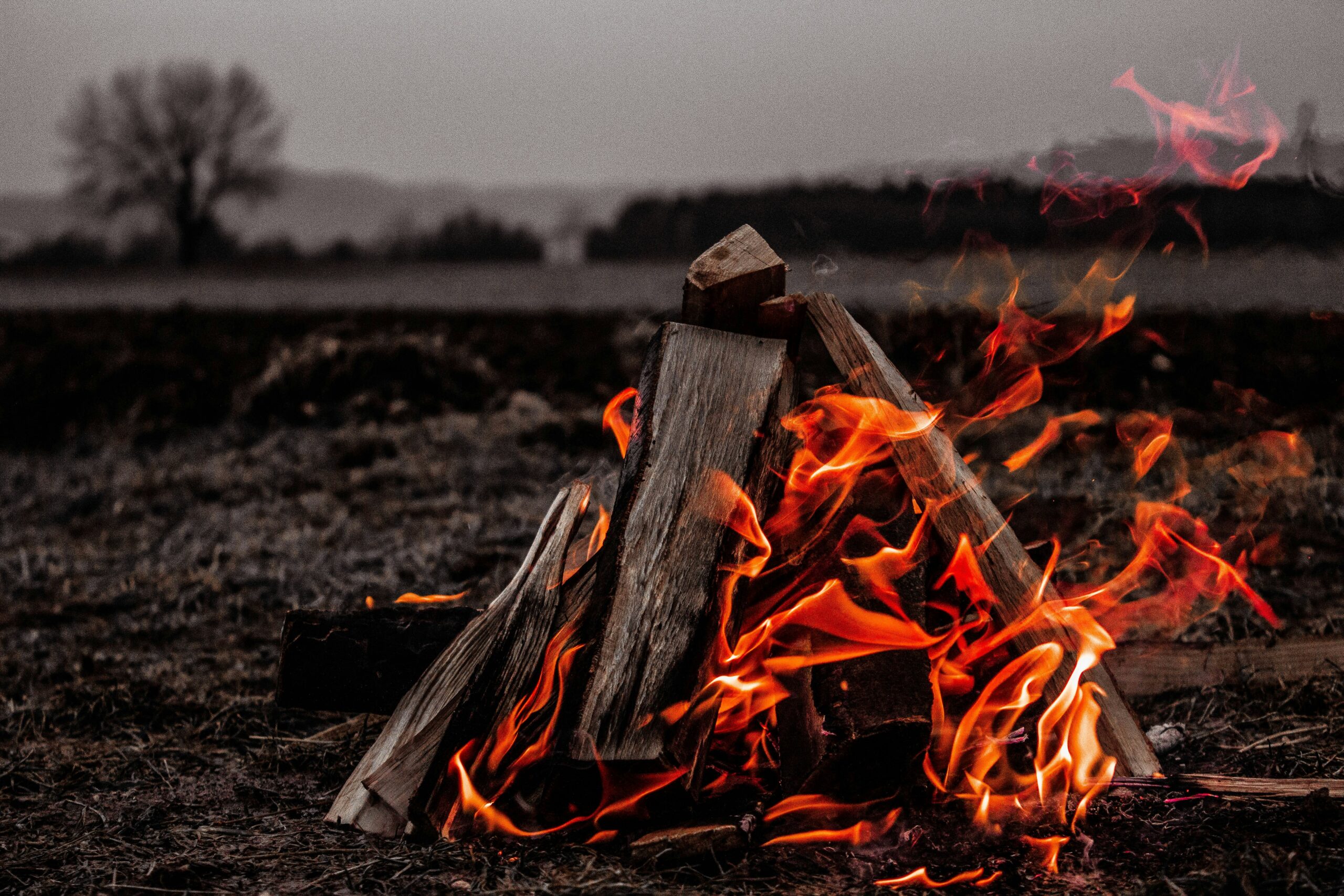 What Are The Advantages Of Using Gas Fire Pit Inserts For Outdoor Use?