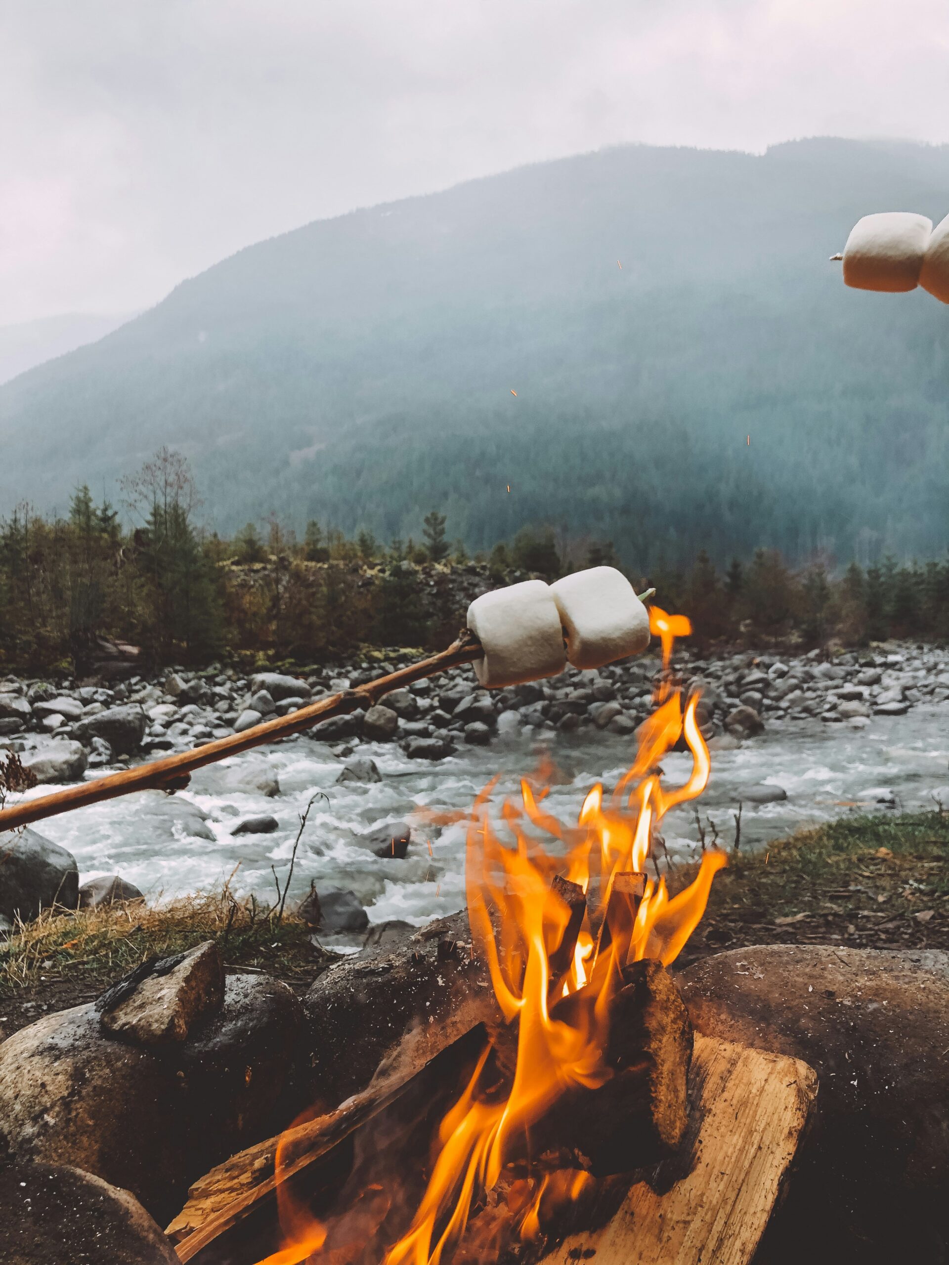 Mini Firepit Review: Alcohol-Fueled Heat on Demand?